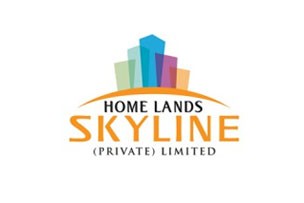 Home lands skyline